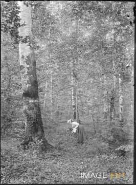 Femme dans une forêt (Meurthe-et-Moselle)